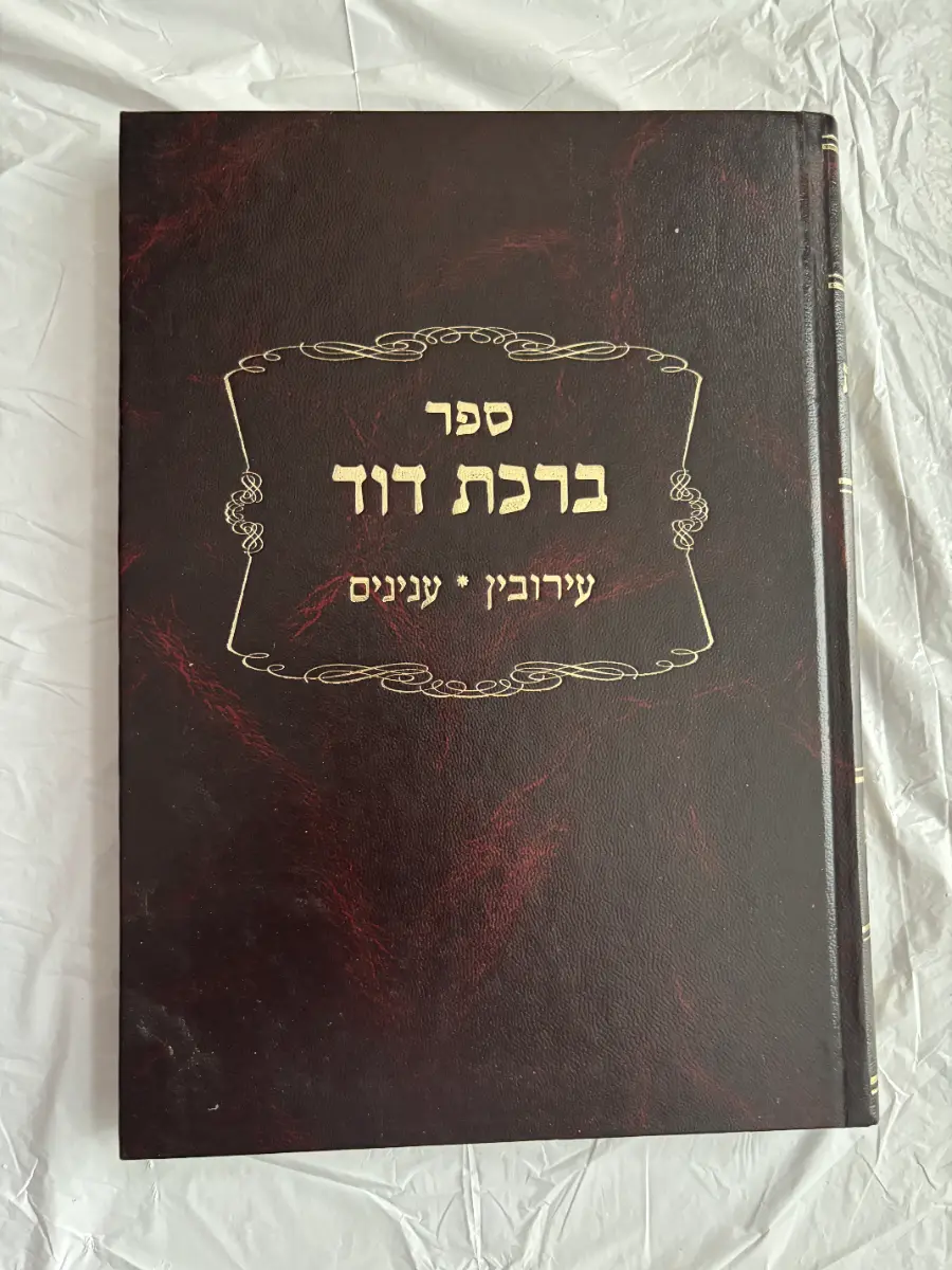Birchas David on Eruvin and Inyanim - Image 1