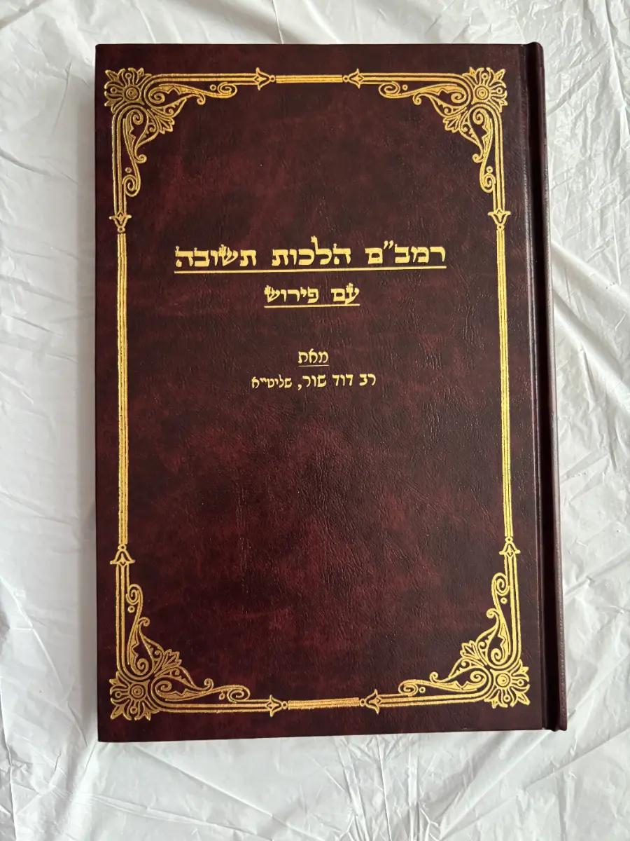 Rambam Hilchos Teshuvah with Commentary by Rabbi David Shor